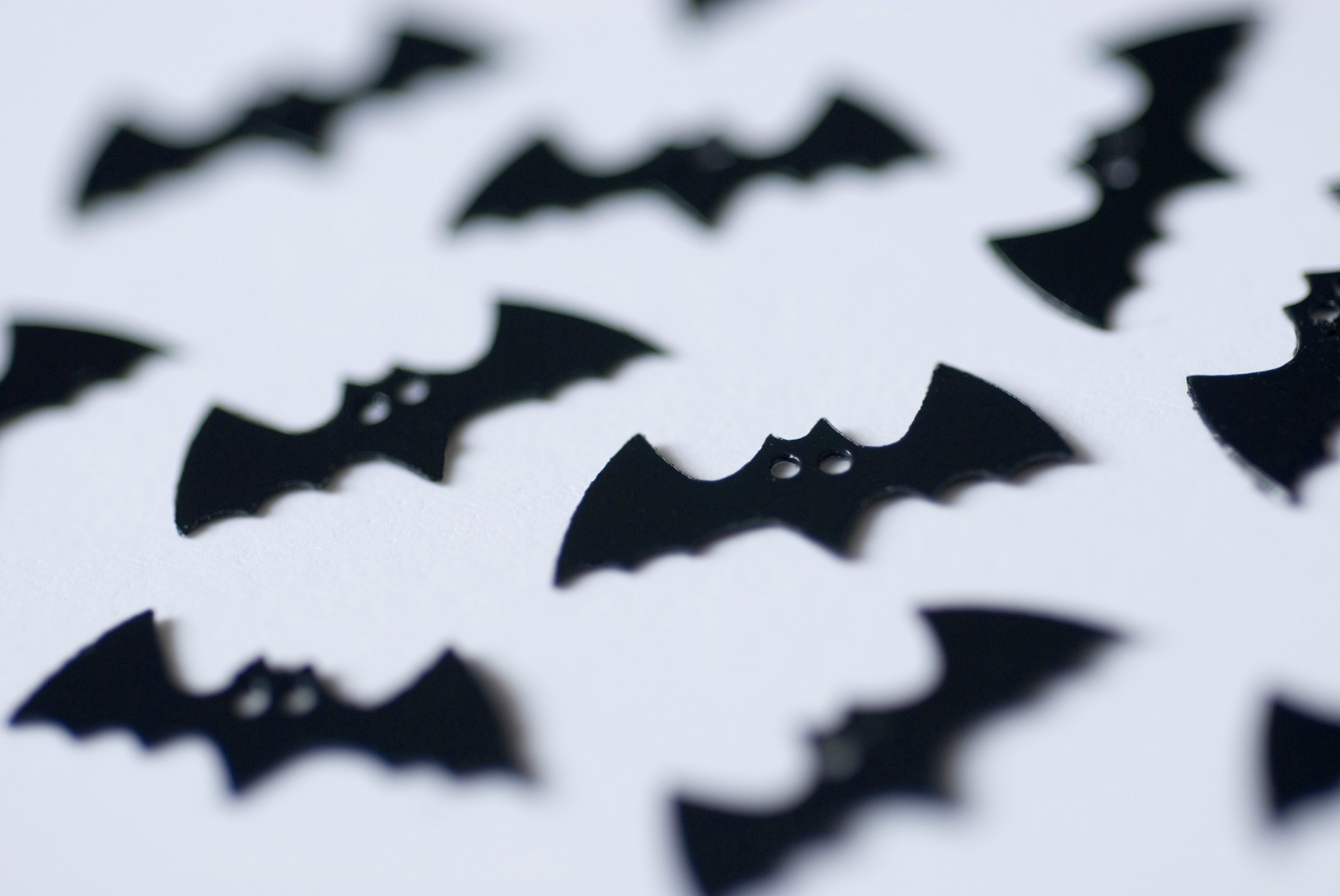 Image Of Halloween Bats CreepyHalloweenImages
