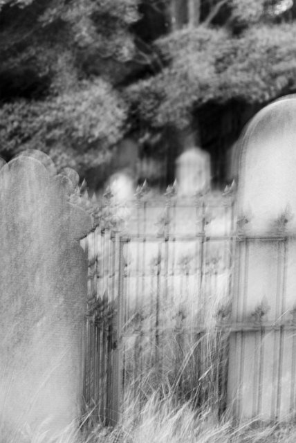 blurred image of headstones