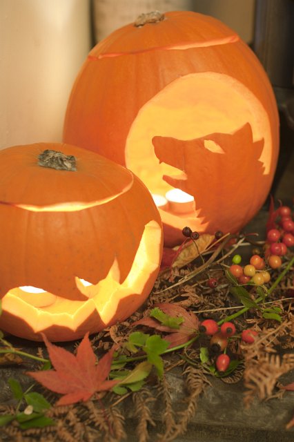 Two glowing Halloween Jack-o-lanterns with a display of colorful autumn or fall berries and leaves, one with a bat pattern and one a wolf or werewolf howling at the moon