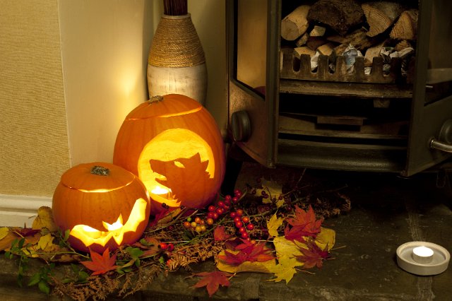 Two scary glowing jack-o-lantern pumpkins with a bat and howling werewolf or wolf with fresh autumn berries and leaves in an interior decoration for Halloween