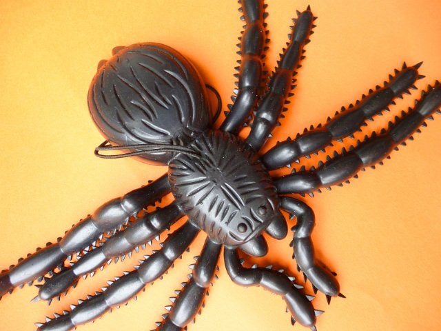 Black plastic spider toy sitting on orange surface background, viewed in close-up from above