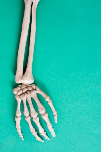 a skeleton hand and arm on a green background with space for a halloween message