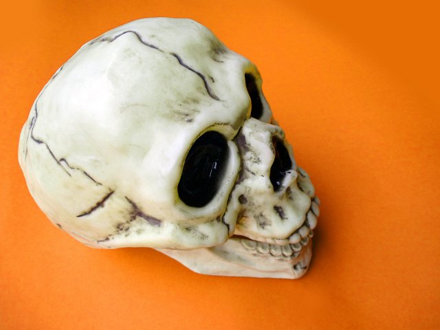 Little toy Halloween skull decoration on a festive orange background for celebrating All Hallows Day