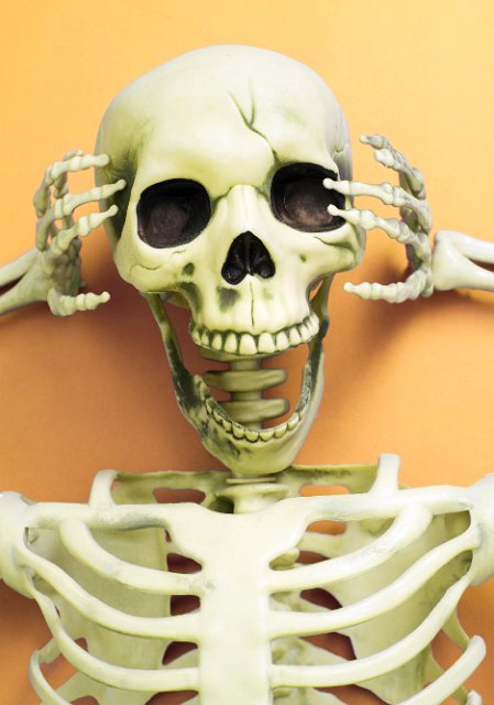 a spooky halloween skeleton with mouth wide open to give a fright