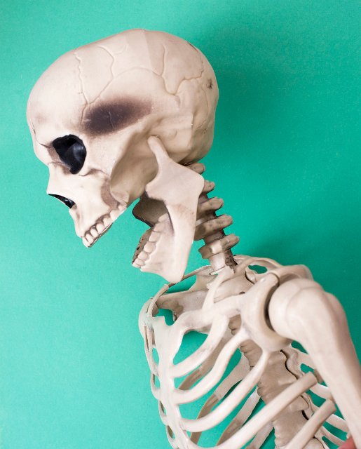 a laughing halloween skeleton on green backdrop