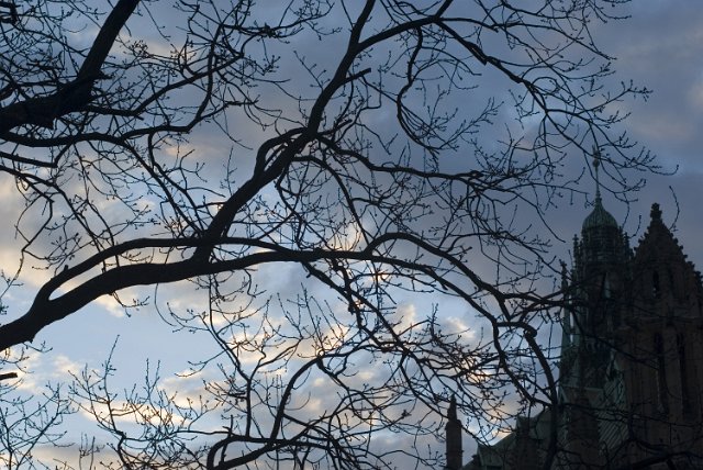 creepy looking picture of gothic revival university buildings at dusk with tree branches