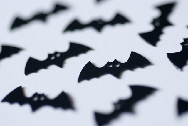 flying black bat sprinkles