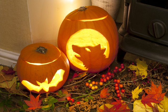 two carved pumpkin lanterns one depicting a wolf and the other a bat