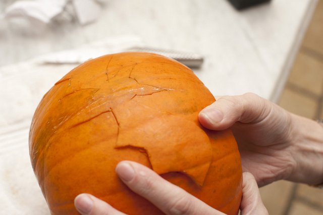 Man making a bat jack-o-lantern from a fresh fall pumpkin lifting out the shape of the flying bat from the hollowed out rind that he has cut with a blade