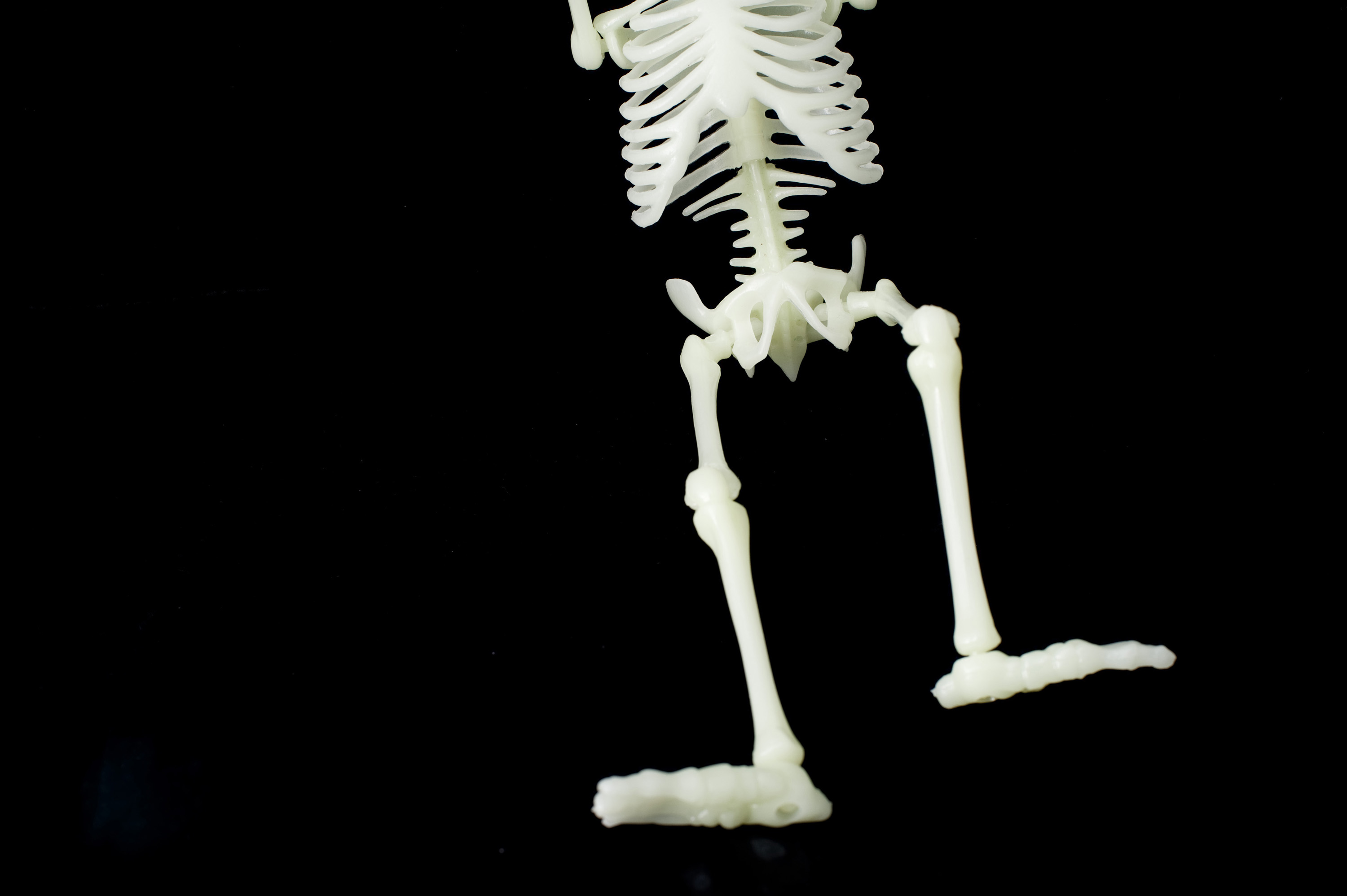 Люди скелеты живые. Скелет прощается. Dollfie скелет. Скелет гоплофонэуса.