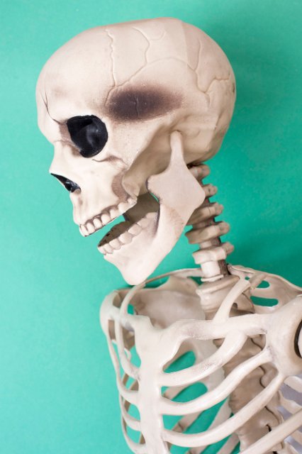 a spooky halloween skeleton head and rib cage