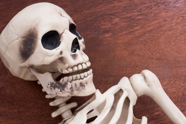 the head and shoulders of a halloween skeleton decoration with a wooden background
