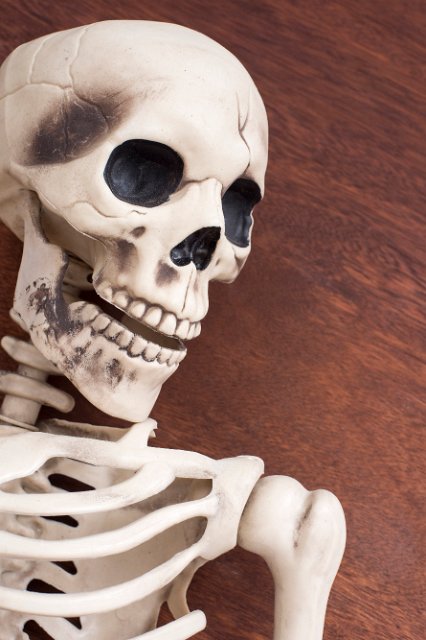 a halloween skeleton decoration on a natural wooden background