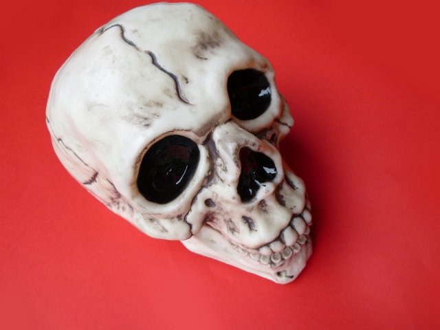 Small ghoulish toy human skull for Halloween viewed high angle on festive red with copy space