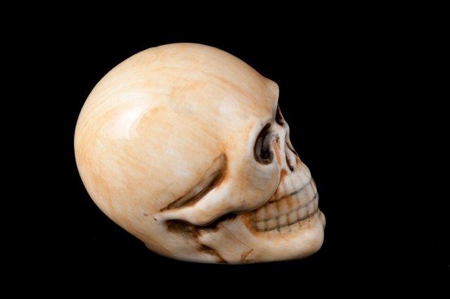 side view of a ceramic skull halloween ornament