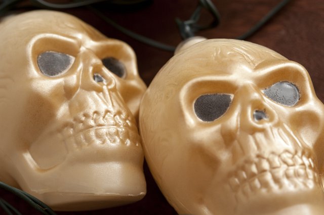 Close up view of two scary Halloween skulls which can also portray genocide , death and mortality